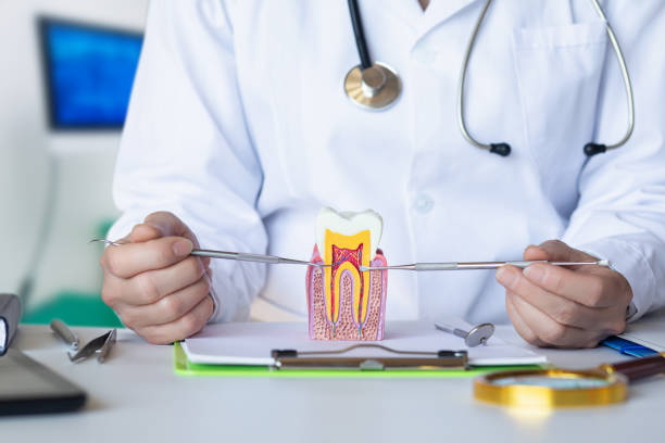 Best Knocked-Out Tooth (Avulsed Tooth) Treatment in Nicoma Park, OK